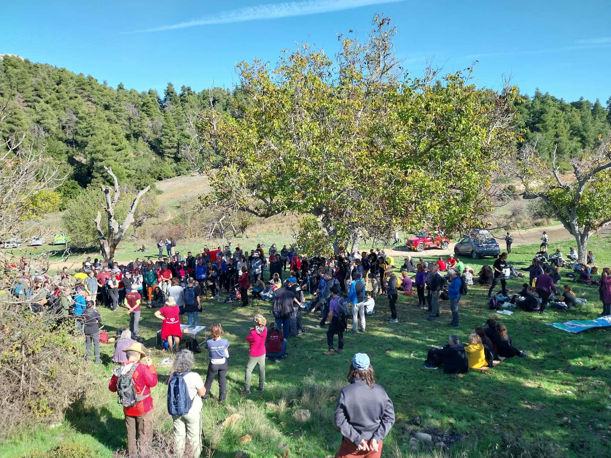 asa parnitha 11 2025 06